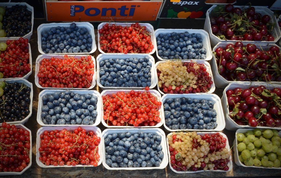 Poimimatta jääneiden mustikoiden määrä on olennainen osa pokémonkeskustelua. 